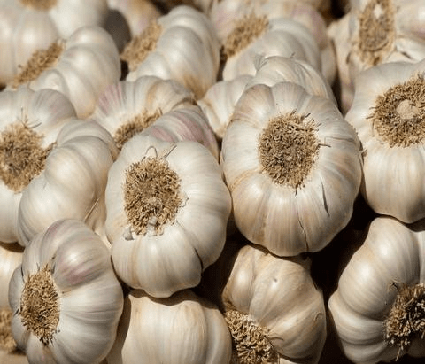 Imported Garlic (Pack)